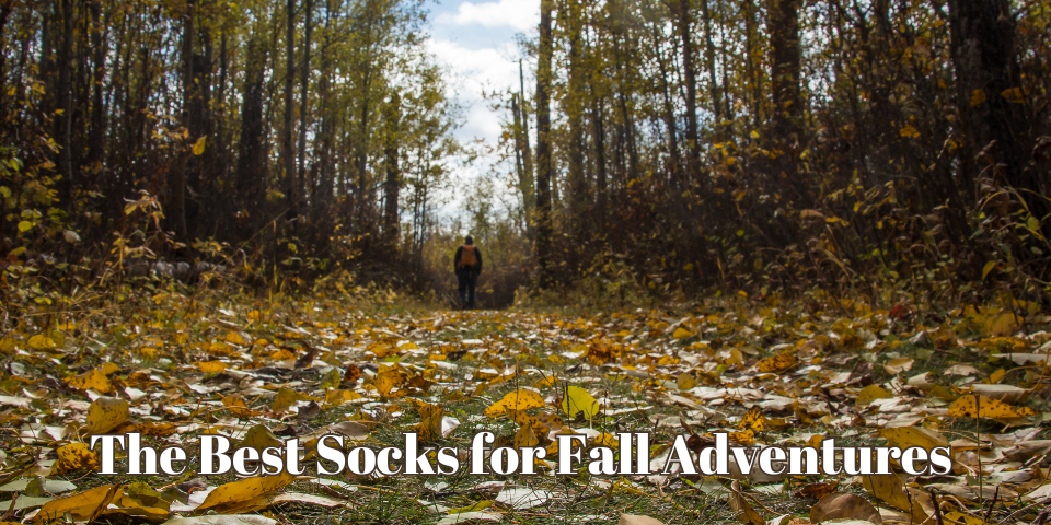 The Best Socks for Fall Adventures