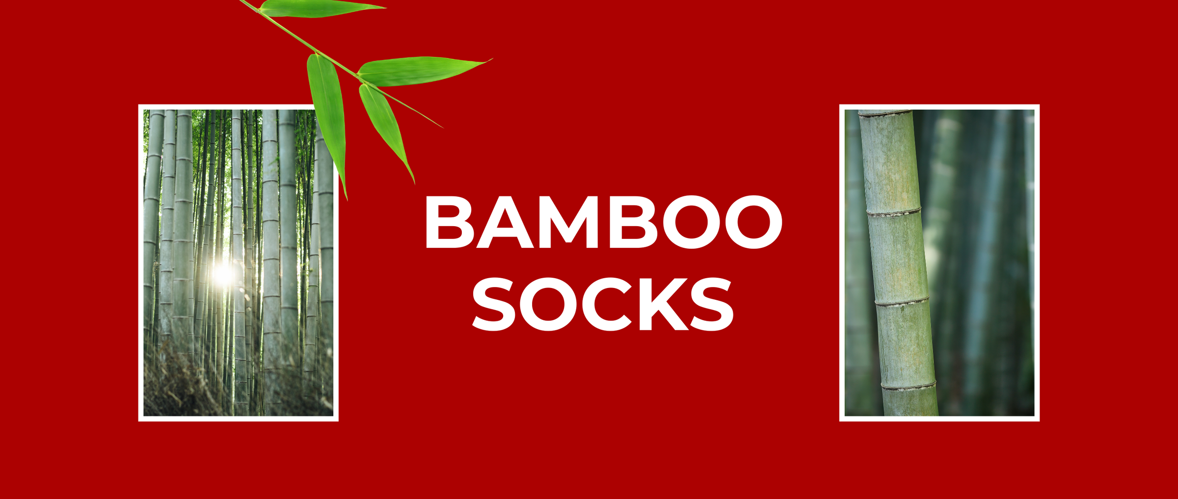 bamboo socks for men & women