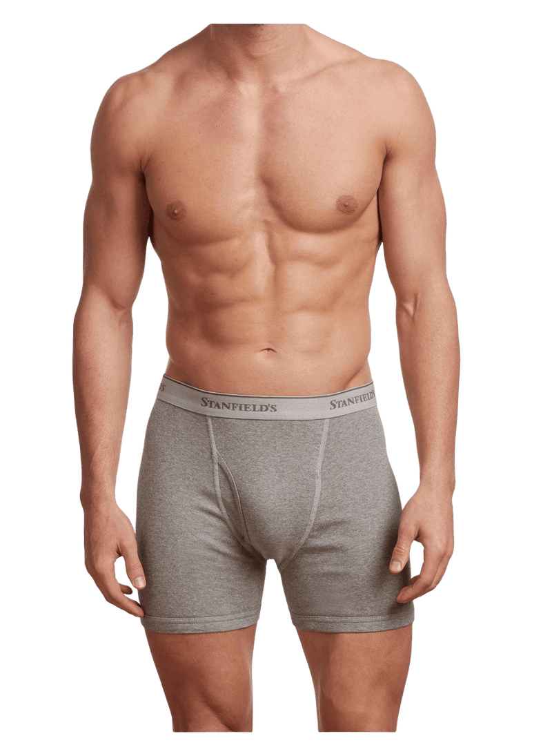 Men's Premium 100% Cotton Boxer Brief - 2 Pack by Stanfield's