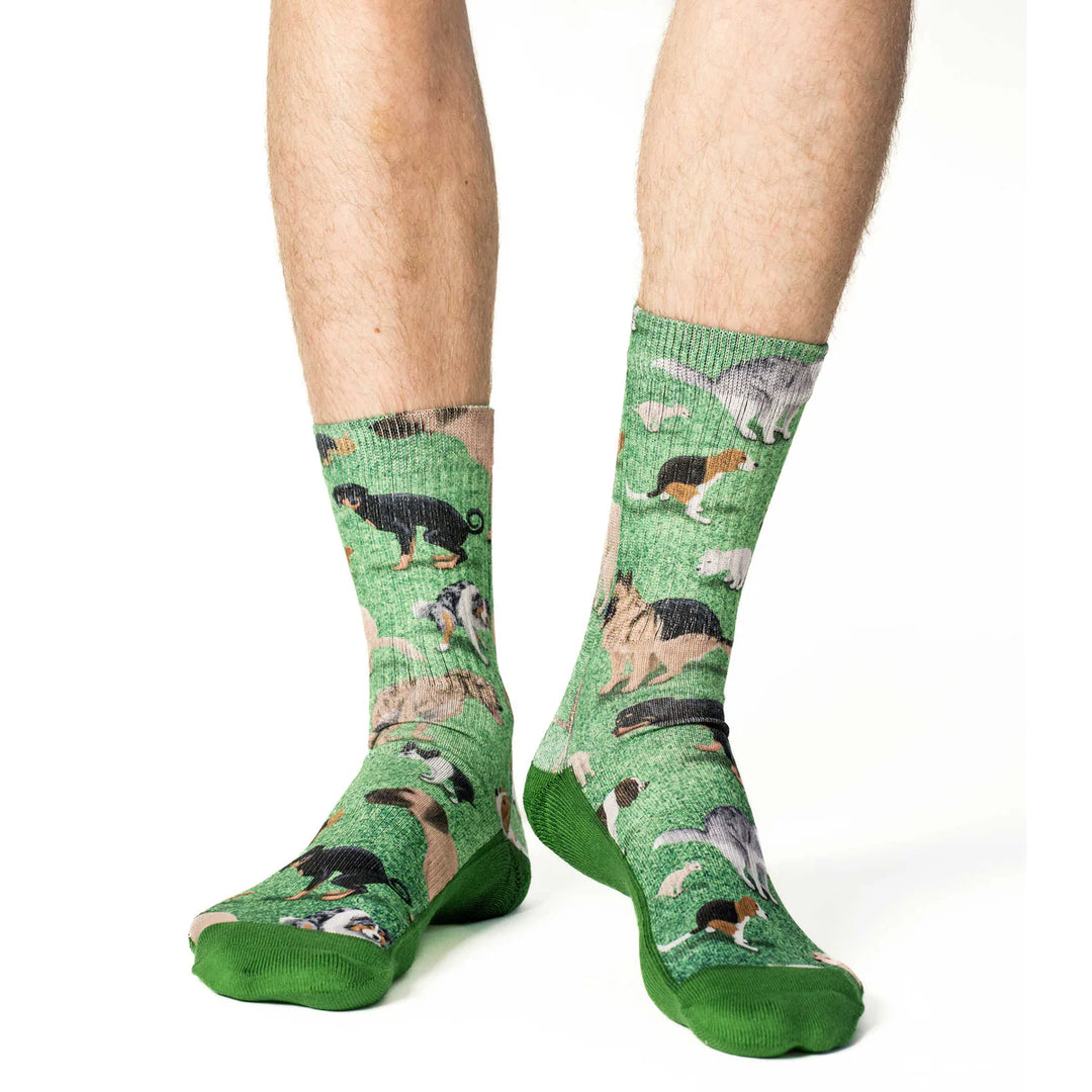 Chaussettes porte-bonheur « Archie et Jughead »