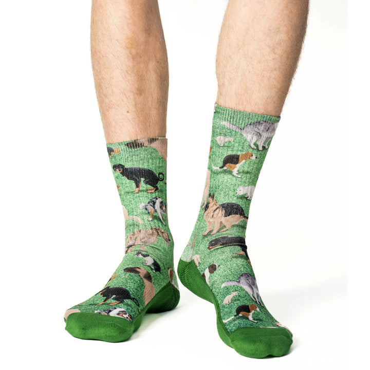 Chaussettes porte-bonheur « Archie et Jughead »