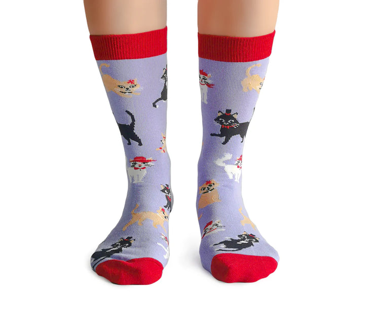 Chaussettes en coton « Chats avec chapeaux » par Uptown Sox - Medium 