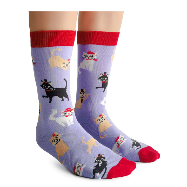Chaussettes en coton « Chats avec chapeaux » par Uptown Sox - Medium 