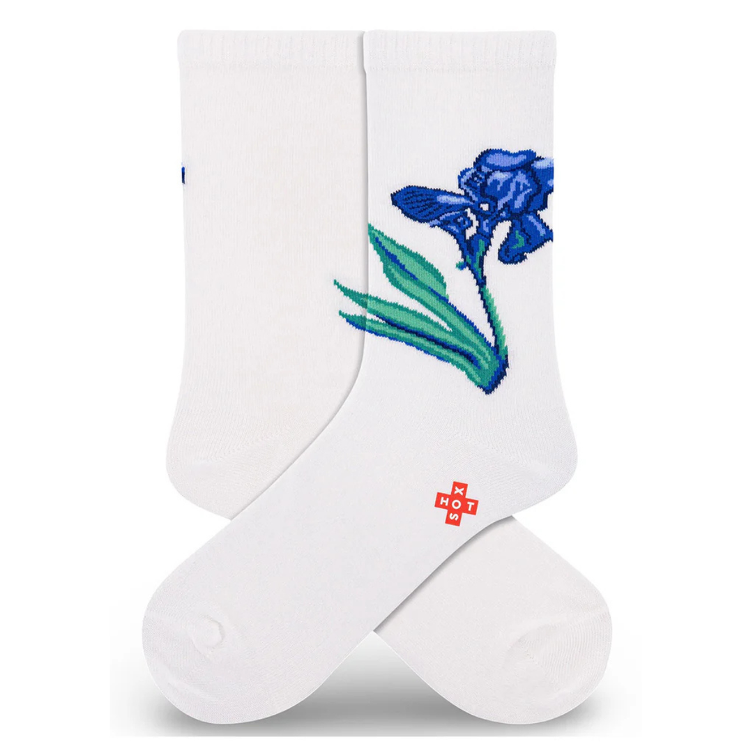 "Single Iris" Cotton Socks by Hot Sox - Medium