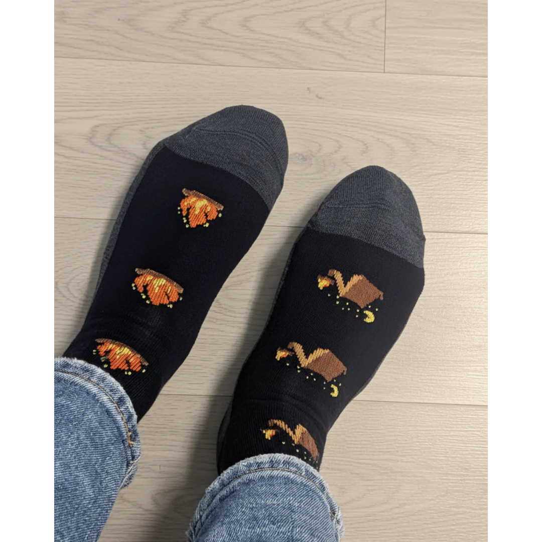 Chaussettes en coton à motif de paysage « Bouclier canadien » de Friday Sox Co
