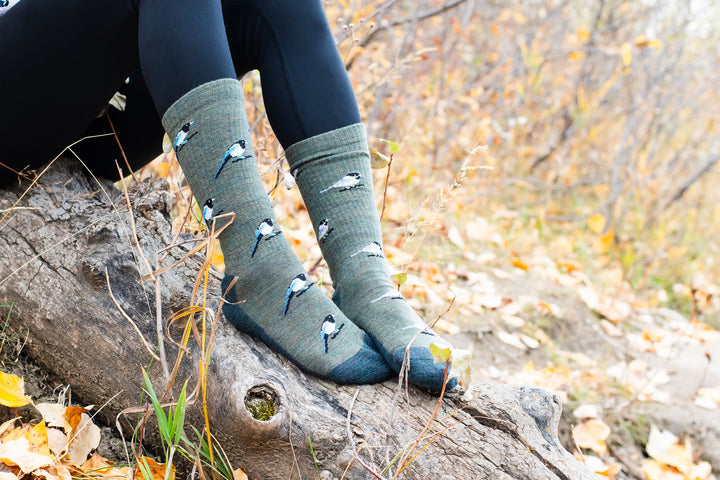 Chaussettes en coton à motif de paysage « Bouclier canadien » de Friday Sox Co