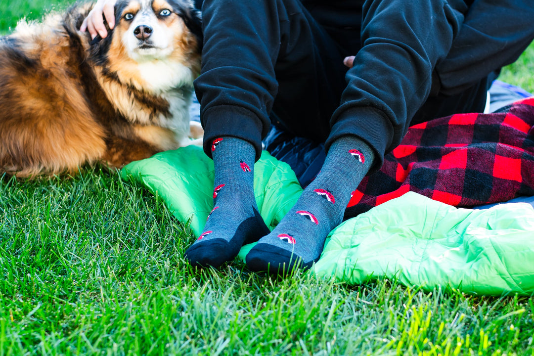 "Ladybug" 70% Merino Wool Socks by Friday Sox Co - Medium