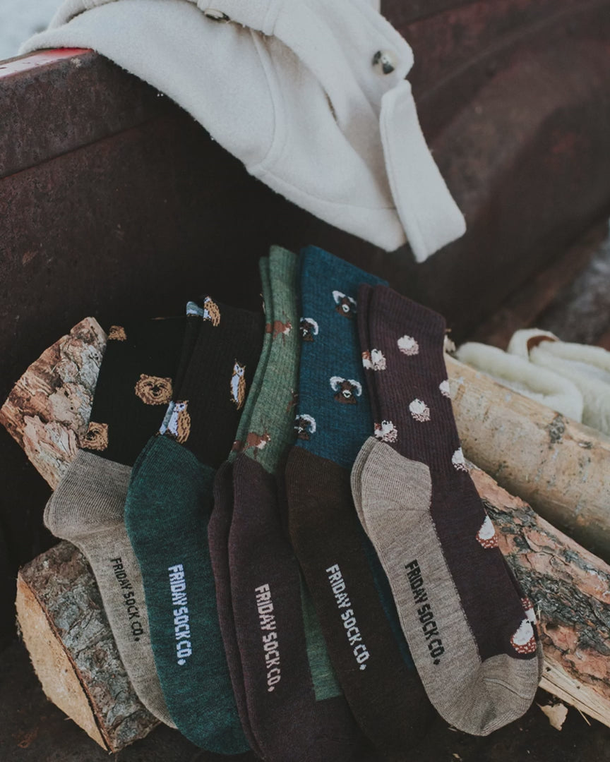 Chaussettes en coton à motif de paysage « Bouclier canadien » de Friday Sox Co