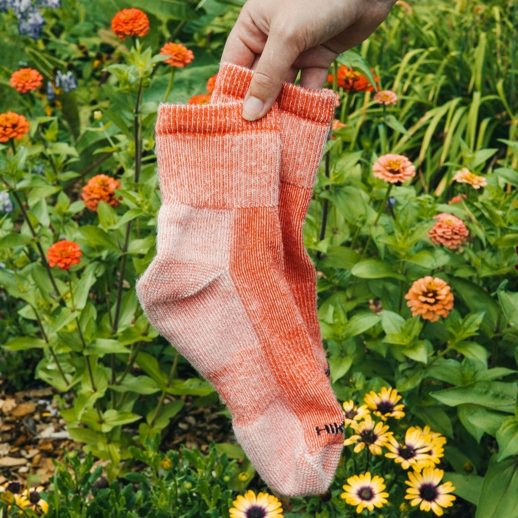 J.B. Field's "Hiker GX" Colourful 74% Merino Wool Low-cut Ankle Socks