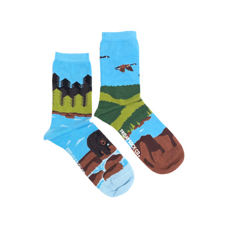 "Canadian Shield" Landscape Cotton Socks by Friday Sox Co