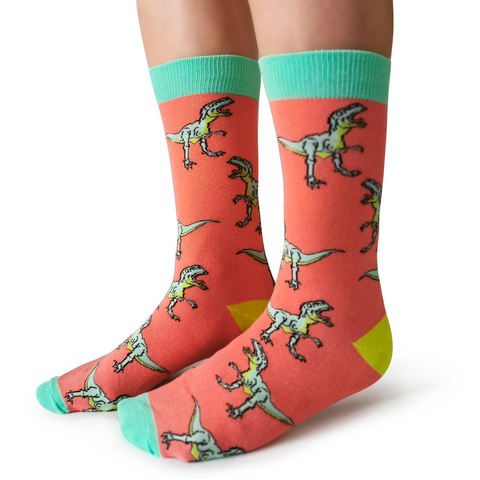 funky animal socks with colourful dinosaurs