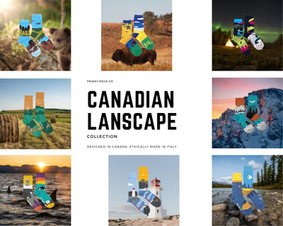 "Canadian Shield" Landscape Cotton Socks by Friday Sox Co