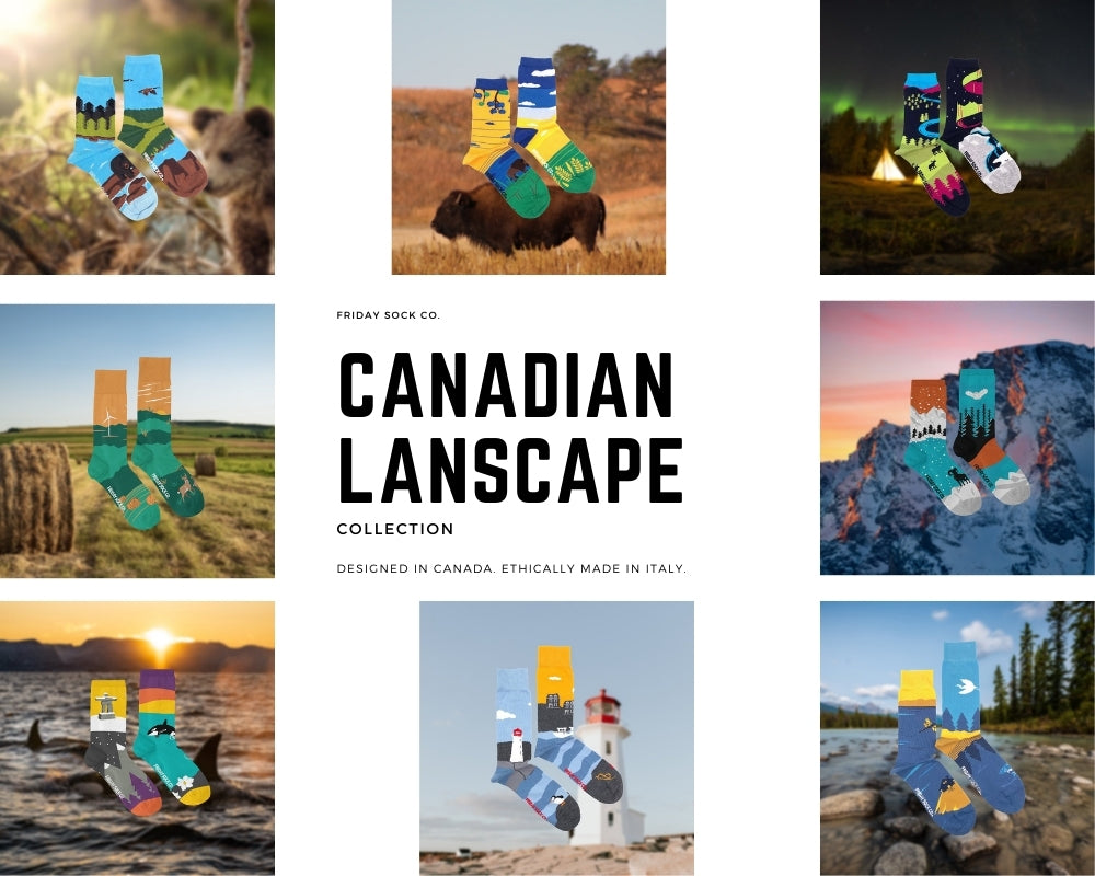 "Northern Canada" Landscape Cotton Socks by Friday Sox Co