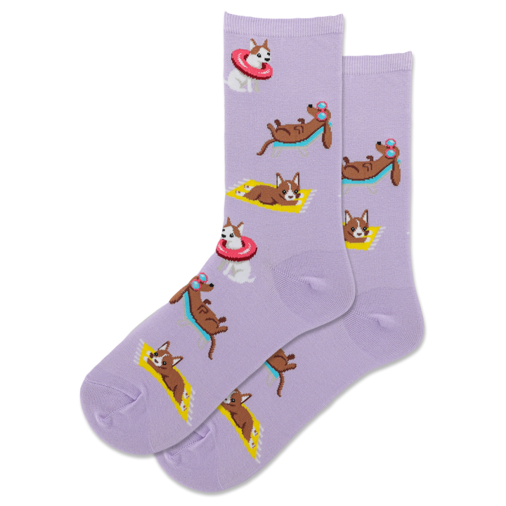 animal socks with dachsunds and chihuahuas on the beach