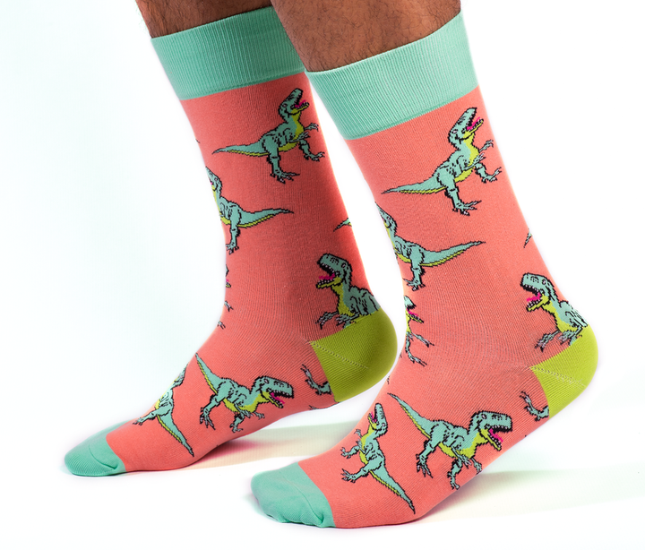funky animal socks with colourful dinosaurs