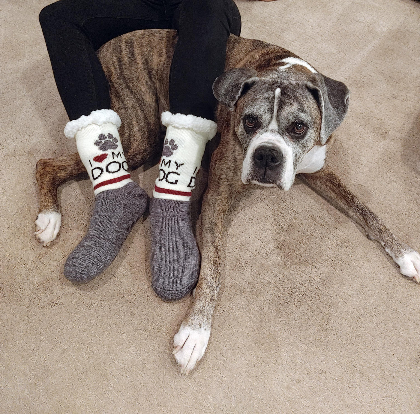 i love my dog women and men's slipper socks