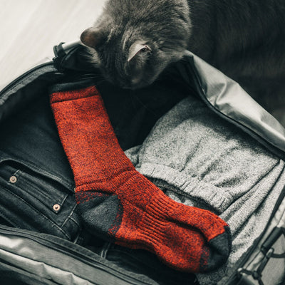 merino wool socks for your travels 